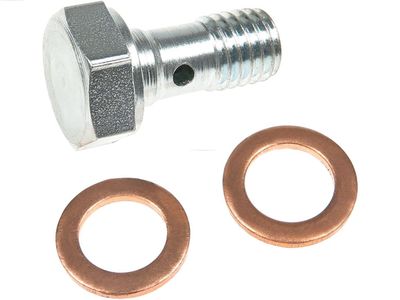 AS-PL Reparatursatz, Unterdruckpumpe (Bremsanlage)