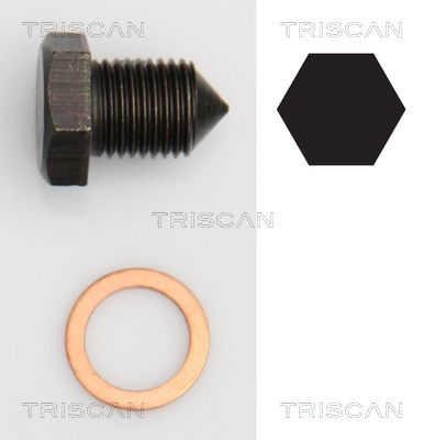 TRISCAN 9500 2907 Пробка поддона  для SEAT INCA (Сеат Инка)