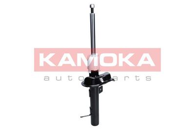 Shock Absorber 2000134