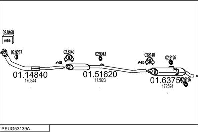Układ wydechowy MTS PEUG53139A002310