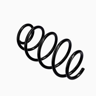 ARC SPIRAL EIBACH R10302 22