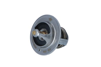 TERMOSTAT LICHID RACIRE NRF 725167 38