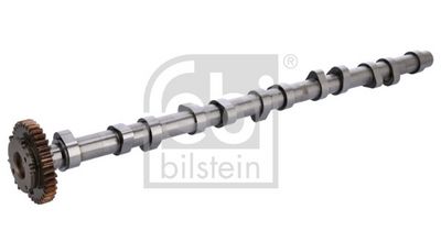 Knastaksel FEBI BILSTEIN 1001929