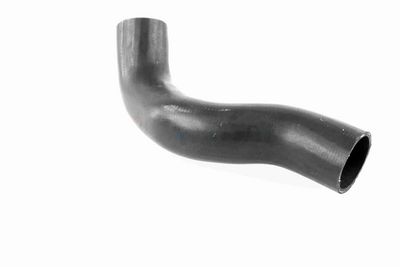 FURTUN EAR SUPRAALIMENTARE ACKOJA A380307 6