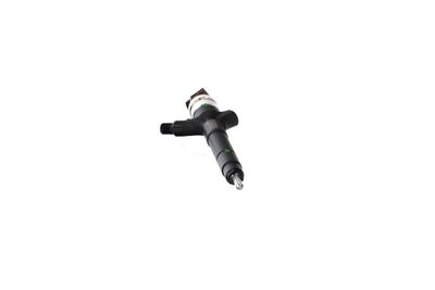 INJECTOR REMANTE 002003002091R 51