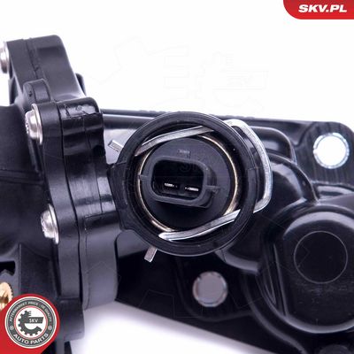 Termostatas, aušinimo skystis