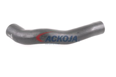 FURTUN EAR SUPRAALIMENTARE ACKOJA A379600 34