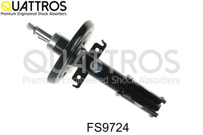 Amortyzator DAVID VASCO FS9724