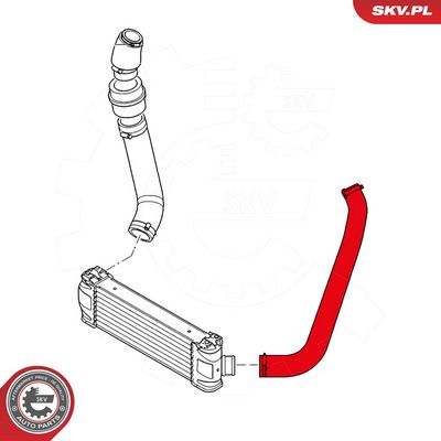Kompresoriaus padavimo žarna