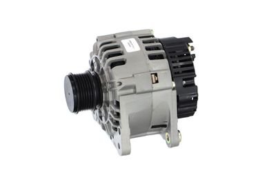 GENERATOR / ALTERNATOR REMANTE 011003000369R 10