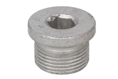 Screw Plug, oil sump ENT040202