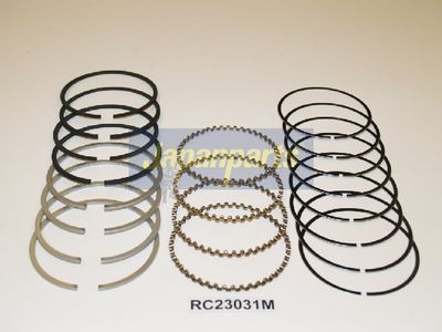 SEGMENT PISTON