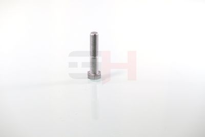 SURUB CAPAT DE AX GH GH392360 44