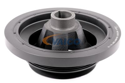 FULIE CUREA ARBORE COTIT VAICO V309660 47