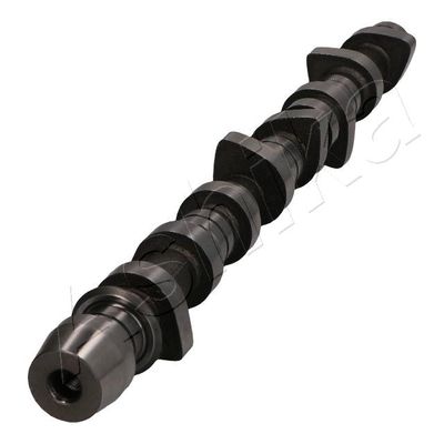 AX CU CAME ASHIKA 16TY008 3