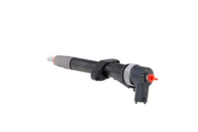 INJECTOR REMANTE 002003001027R 18