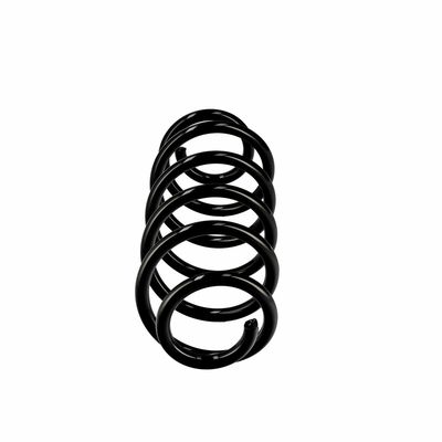 ARC SPIRAL EIBACH R10270 1
