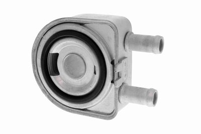 RADIATOR ULEI ULEI MOTOR ACKOJA A52600019 3