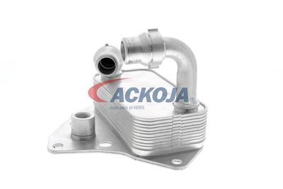 RADIATOR ULEI ULEI MOTOR VEMO V24600051 22