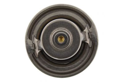 TERMOSTAT LICHID RACIRE MAPCO 28800 2