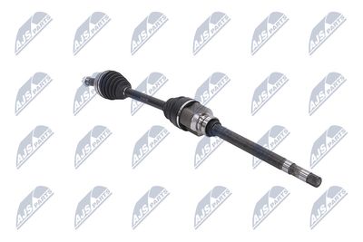 PLANETARA NTY NPWPE053 29