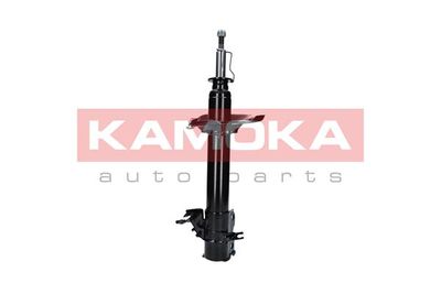 Shock Absorber 2000306