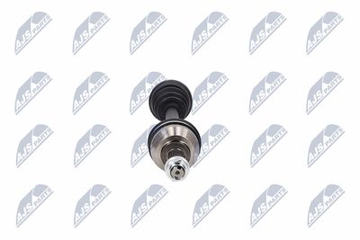 PLANETARA NTY NPWFT021 16