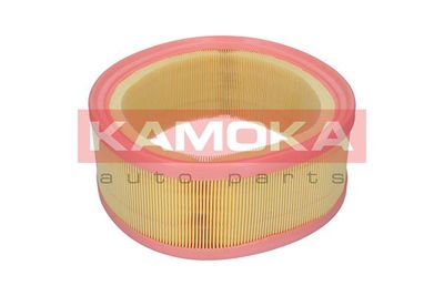 Air Filter F235501