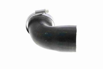 LADELUFTSCHLAUCH VAICO V251020 6