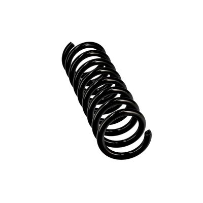 ARC SPIRAL EIBACH R10075 24