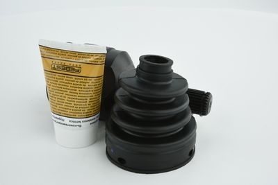 SET ARTICULATIE PLANETARA FEBEST 2011SEB 30