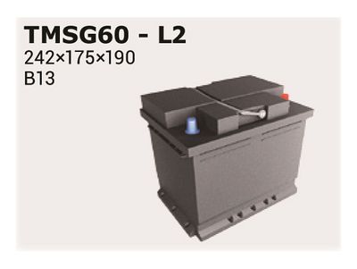 IPSA TMSG60 Аккумулятор  для MOSKVICH  (Мосkвич 2141)