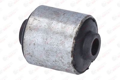 SUPORT TRAPEZ BIRTH 2109 11