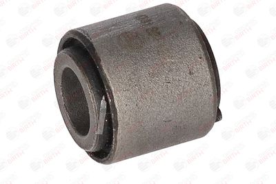 BUCSA ARBORE DE DIRECTIE BIRTH 4741 6