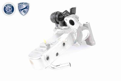 AGR-VENTIL VEMO V22630004 5