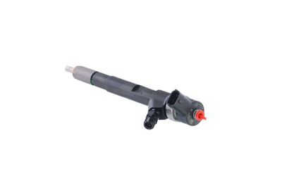 INJECTOR REMANTE 002003000145R 19