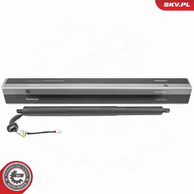 MOTOR ELECTRIC HAION ESEN SKV 52SKV297