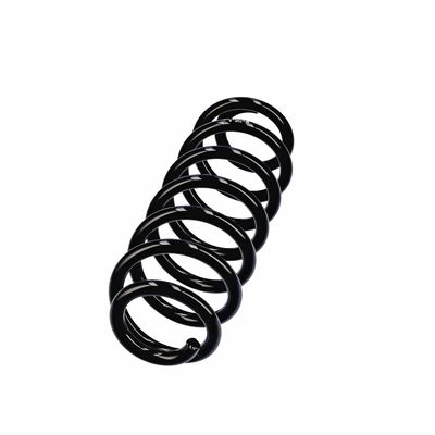ARC SPIRAL EIBACH R13605 14