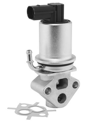 BorgWarner ERG vožtuvas
