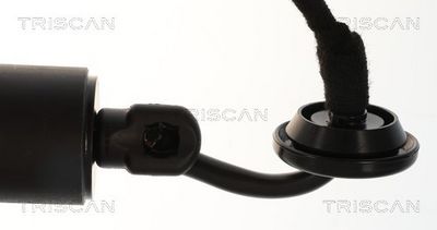 Plynárenská vzpera (pneumatická pružina), zavazadlový priestor TRISCAN 8710 14301