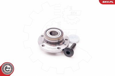 Wheel Bearing Kit 29SKV006