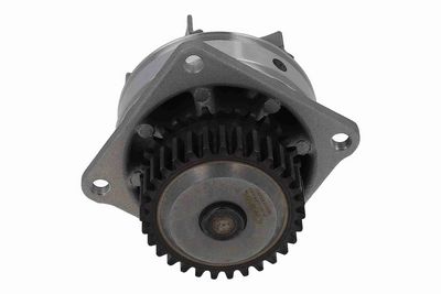 POMPă DE APă RăCIRE MOTOR ACKOJA A3850020 6