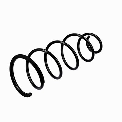 ARC SPIRAL EIBACH R10092 4