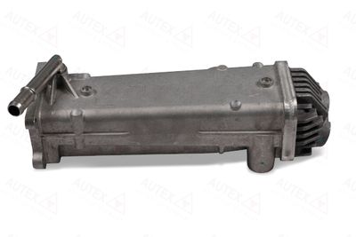 RADIATOR RECIRCULARE GAZE DE ESAPAMENT