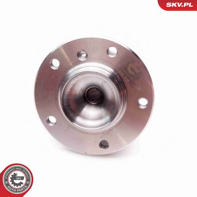 SET RULMENT ROATA ESEN SKV 29SKV117 3