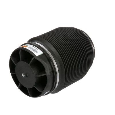 LUFTFEDER FAHRWERK Arnott A2960 37