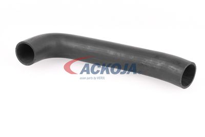 FURTUN EAR SUPRAALIMENTARE ACKOJA A379602 15