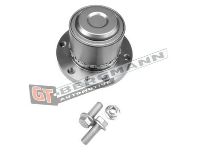 GT-BERGMANN Automotive Rato guolio komplektas