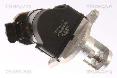 SUPAPA EGR TRISCAN 881323021 1