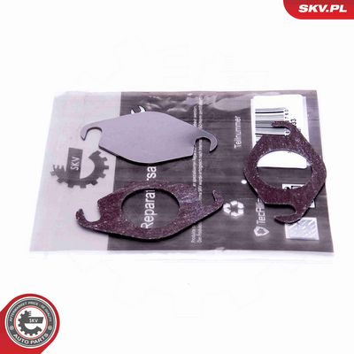 SET DE REPARAțIE SUPAPă AGR